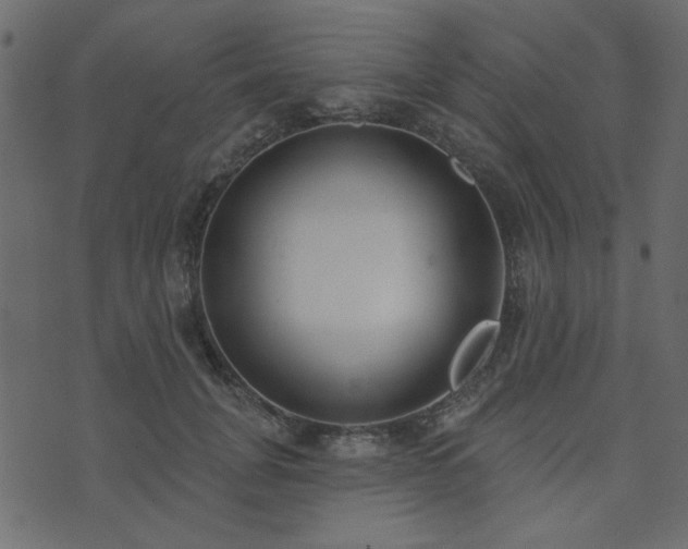 X0000071770751200606301155