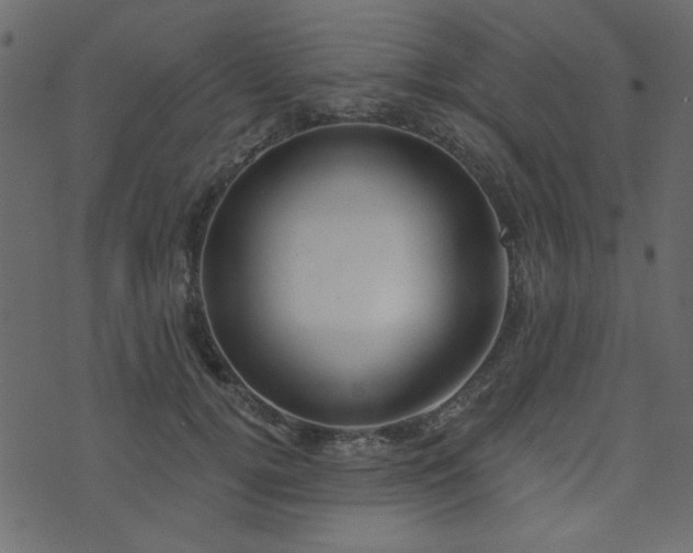 X0000071770752200606301155