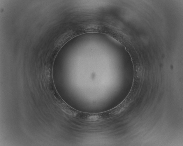 X0000071770753200606301155