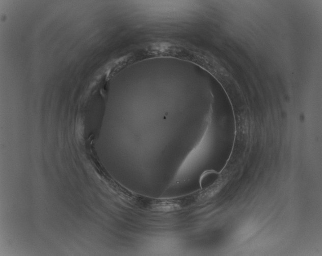 X0000071770754200606301155