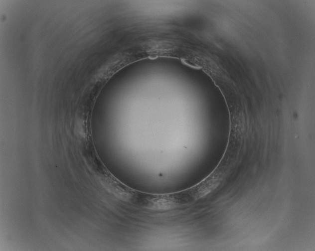 X0000071770755200606301155