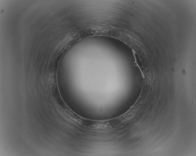 X0000071770756200606301155