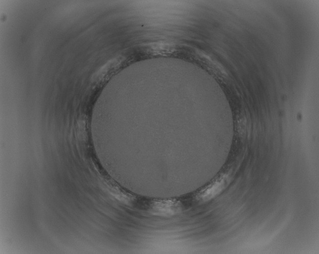 X0000071770757200606301155