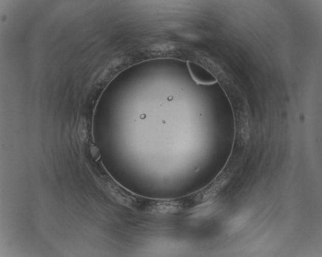 X0000071770758200606301155