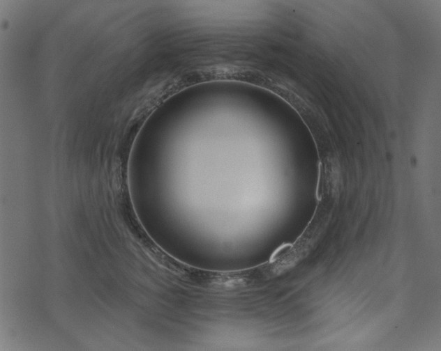 X0000071770760200606301155