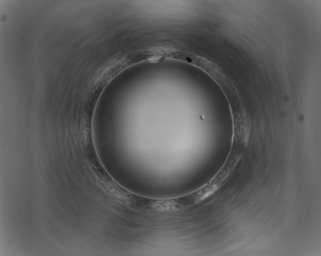 X0000071770762200606301155