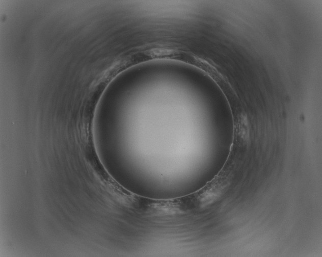 X0000071770763200606301155