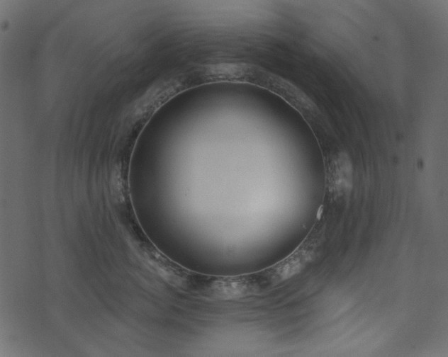 X0000071770764200606301155