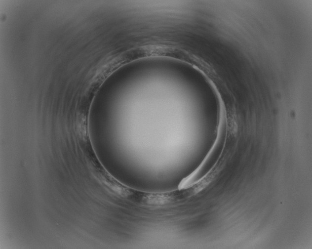 X0000071770766200606301155