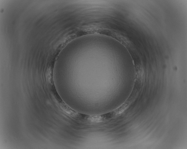 X0000071770767200606301155