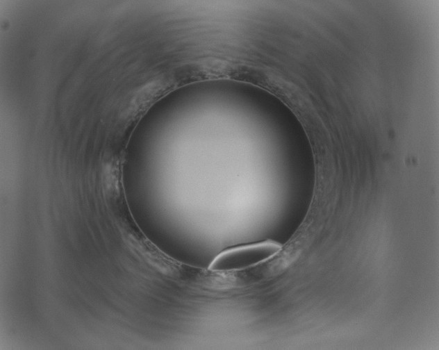 X0000071770768200606301155