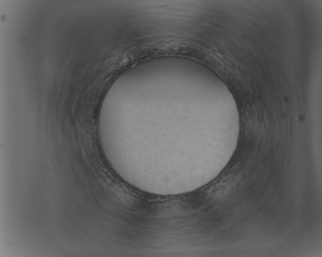 X0000071770769200606301154