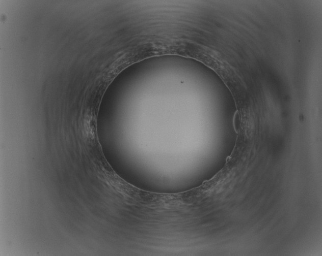 X0000071770770200606301154