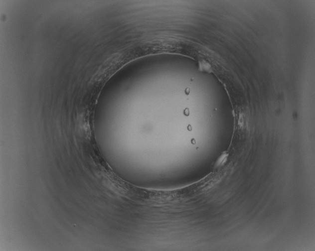 X0000071770771200606301154