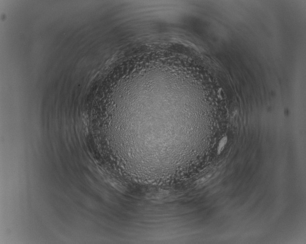 X0000071770772200606301154