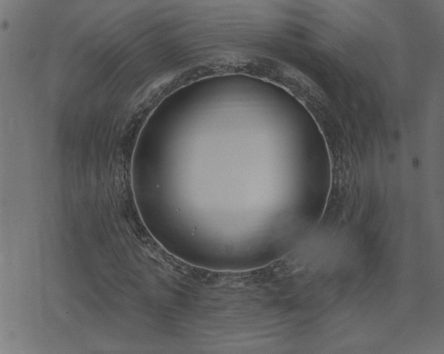 X0000071770773200606301154