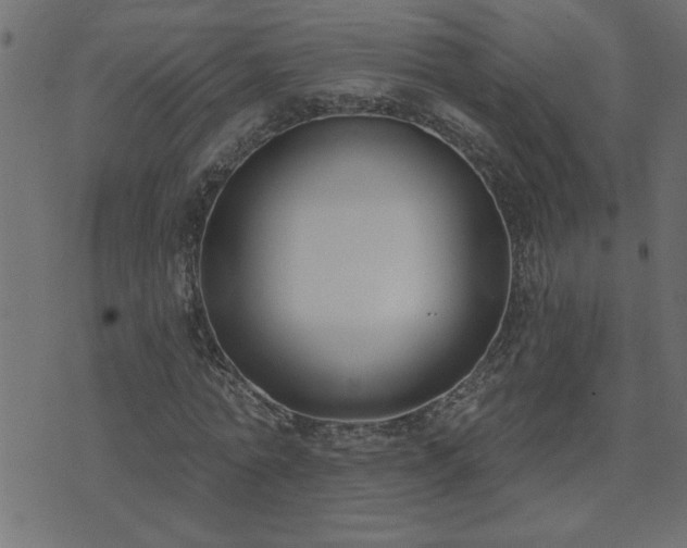 X0000071770774200606301154