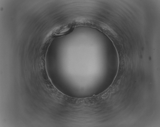 X0000071770776200606301154