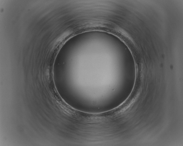 X0000071770777200606301154