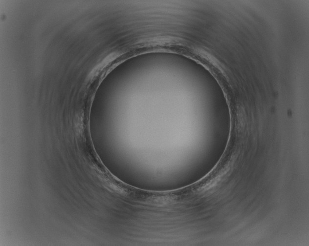 X0000071770778200606301154