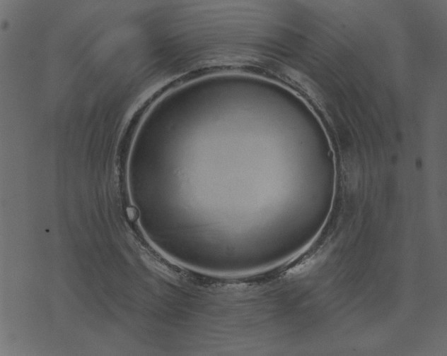 X0000071770779200606301154