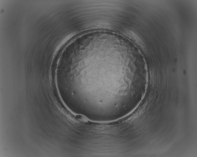 X0000071770780200606301154