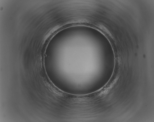 X0000071770781200606301154