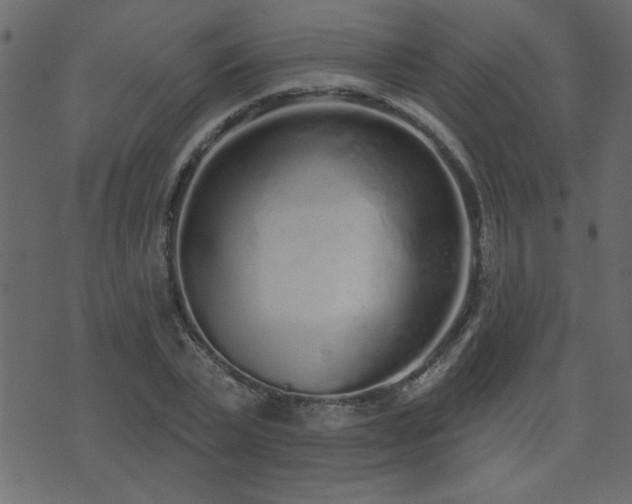 X0000071770783200606301154