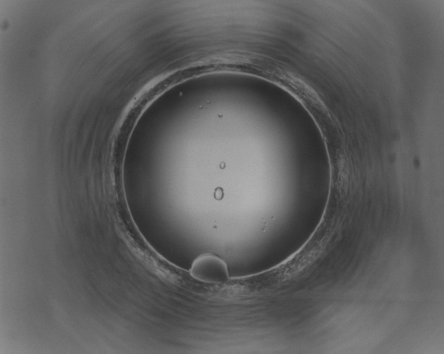 X0000071770784200606301154