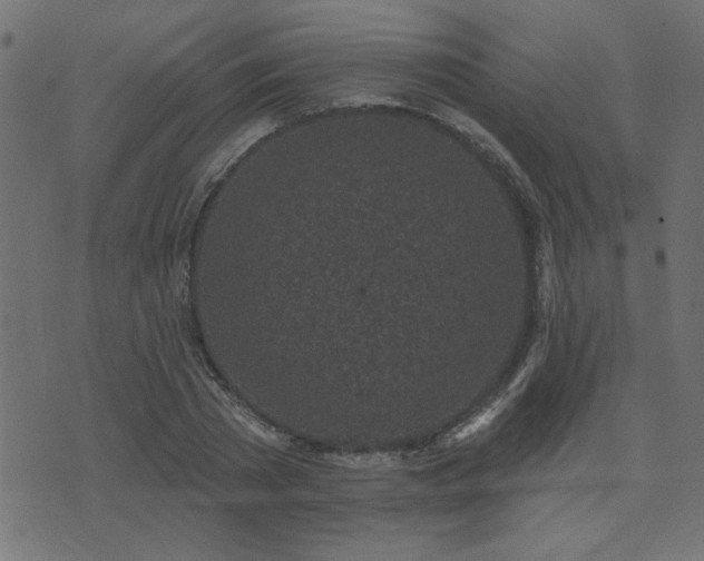 X0000071770785200606301154