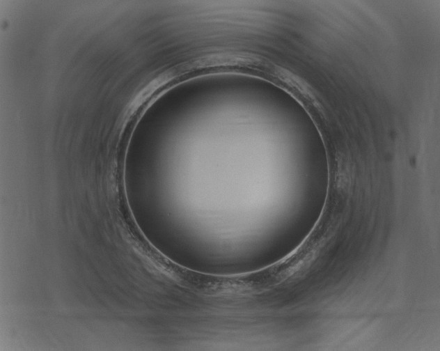 X0000071770786200606301154