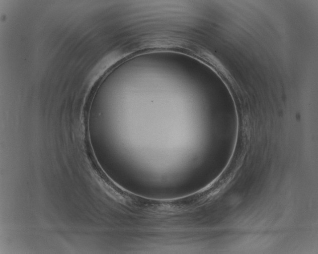 X0000071770787200606301154