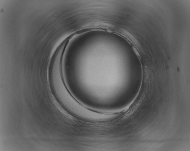 X0000071770788200606301154