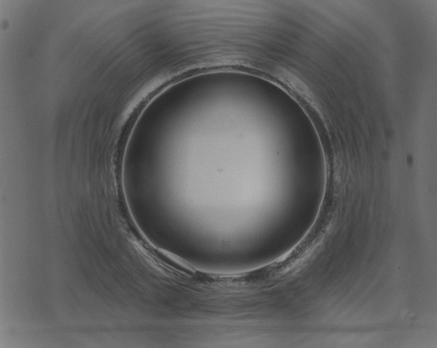 X0000071770789200606301154