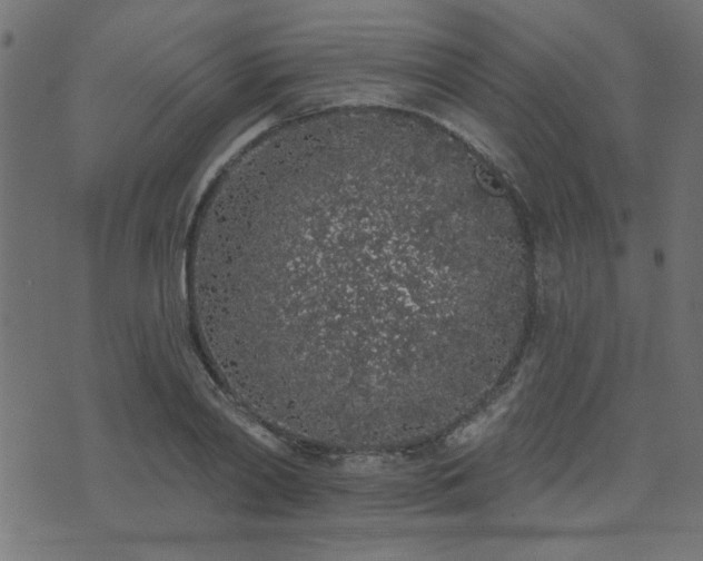 X0000071770790200606301154