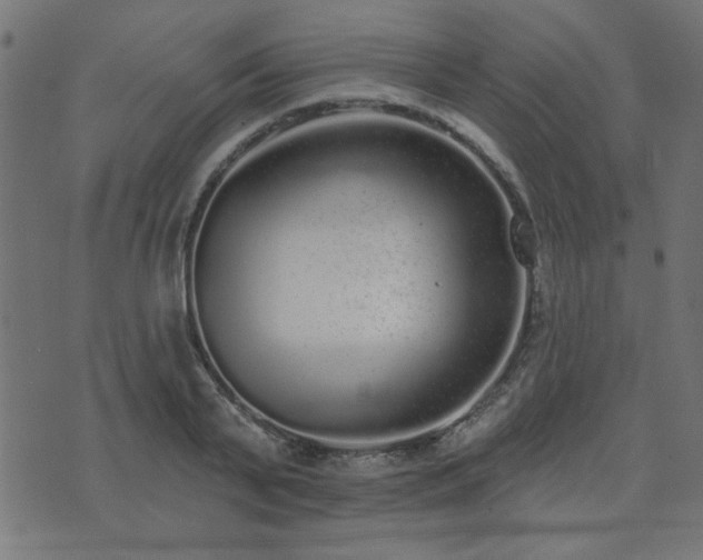 X0000071770791200606301154