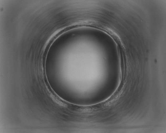 X0000071770792200606301154