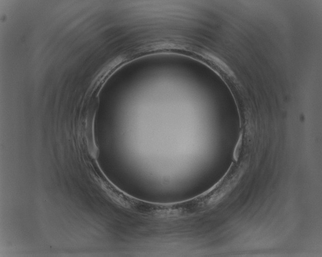 X0000071770793200606301154