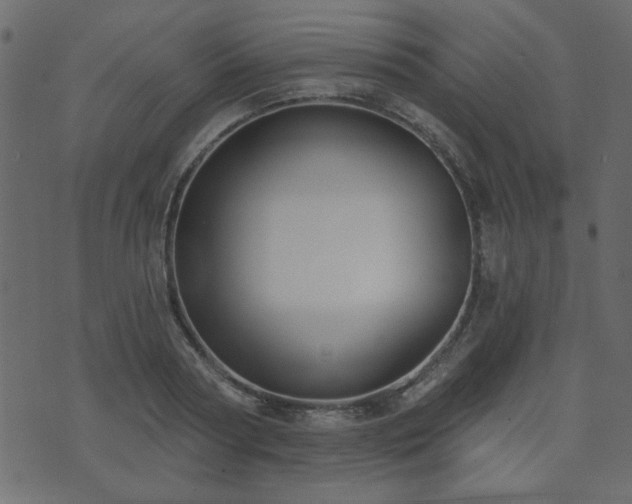 X0000071770794200606301154