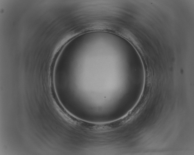 X0000071770795200606301154