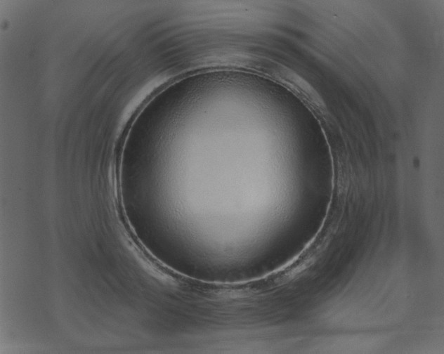 X0000071770796200606301154