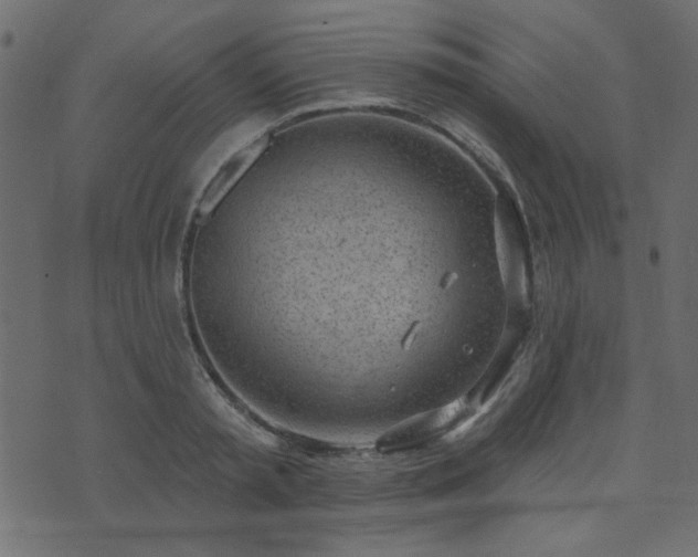 X0000071770797200606301154