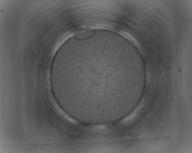 X0000071770798200606301154