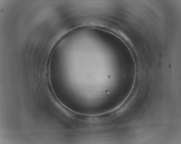 X0000071770799200606301154