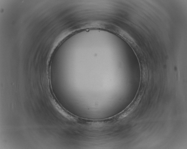 X0000071770800200606301154