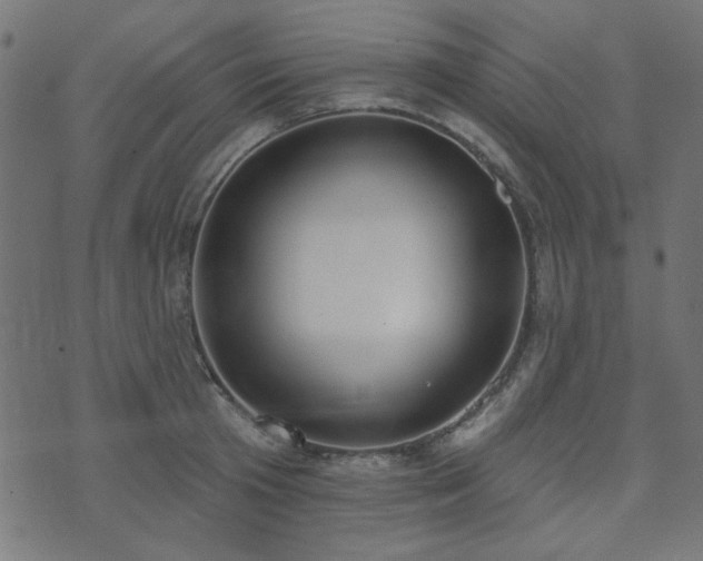 X0000071770801200606301154