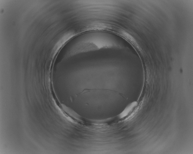 X0000071770802200606301154