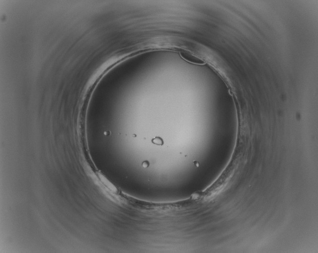 X0000071770803200606301154