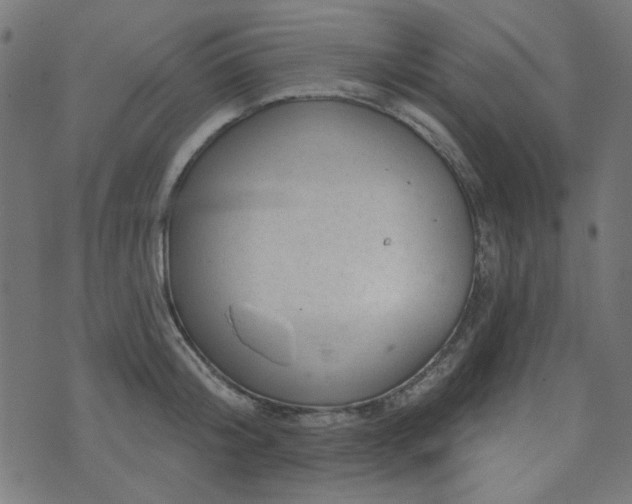 X0000071770804200606301154