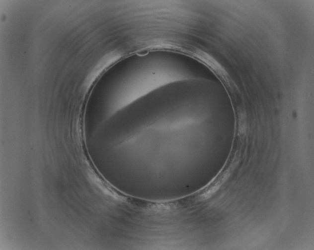 X0000071770806200606301154